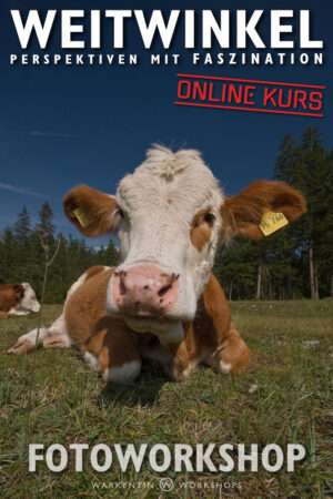 Weitwinkel - Perspektiven mit Faszination (Online)