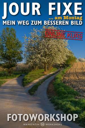 Jour-Fixe am Montag - Mein Weg zum besseren Bild (Online)